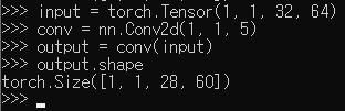 Input Type in PyTorch 설명 그림